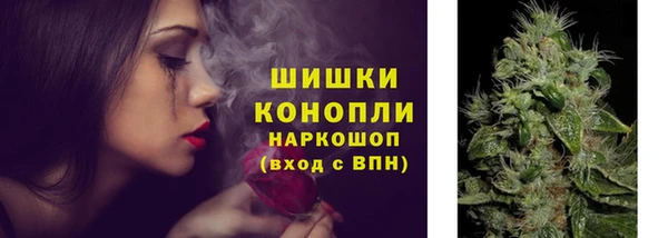 spice Лиски