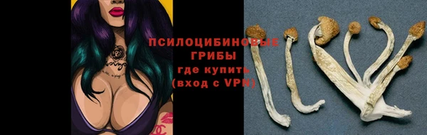 винт Лагань