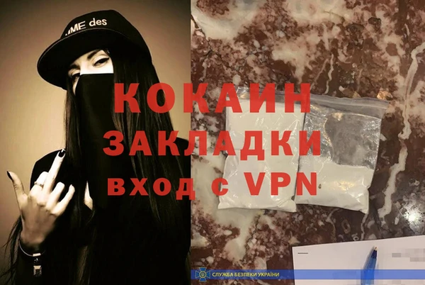 винт Лагань