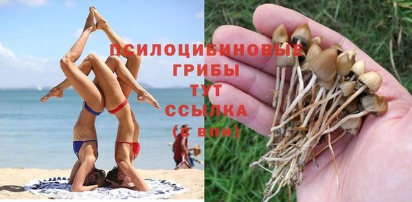 spice Лиски