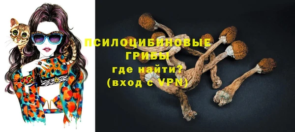 мдпв Лихославль