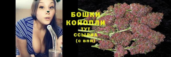 spice Лиски