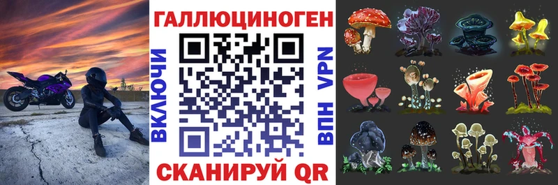 hydra   Мирный  shop Telegram  Псилоцибиновые грибы мицелий 