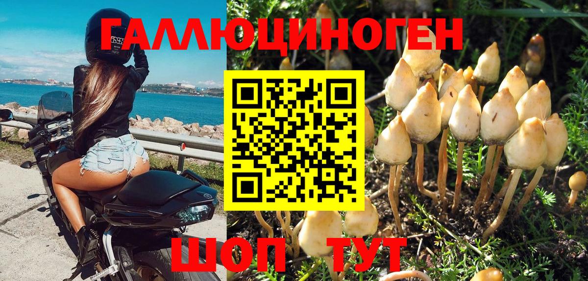 Галлюциногенные грибы Cubensis  Галлюциногенные грибы прущие грибы  Мирный 