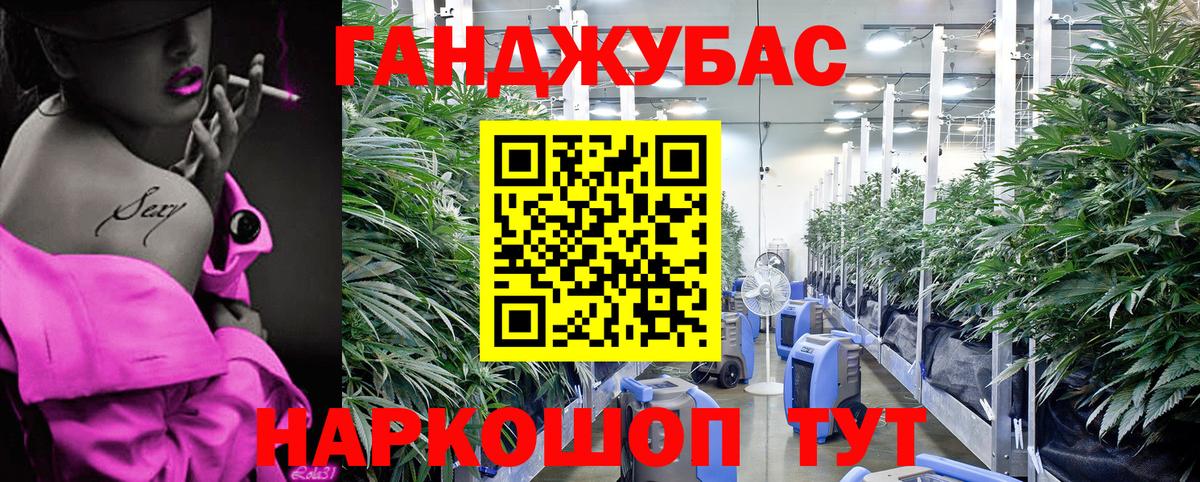 Шишки марихуана OG Kush Мирный